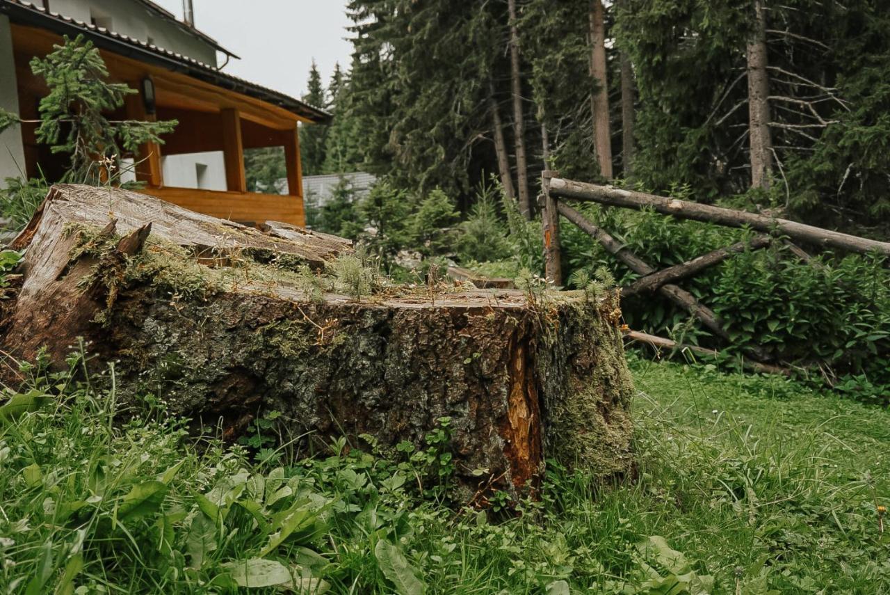 Вилла Mounthoff Retreat Мороэни Экстерьер фото