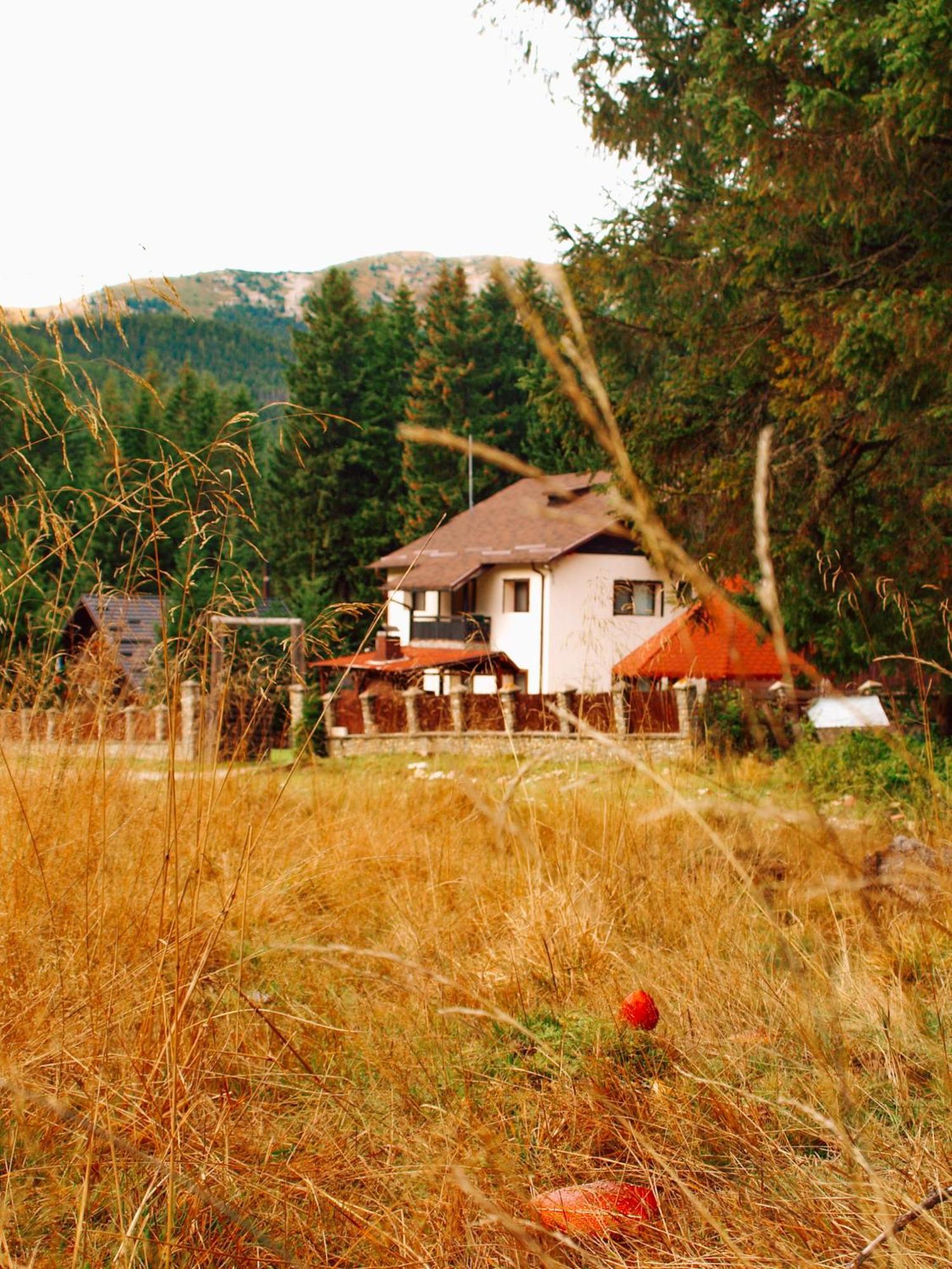 Вилла Mounthoff Retreat Мороэни Экстерьер фото